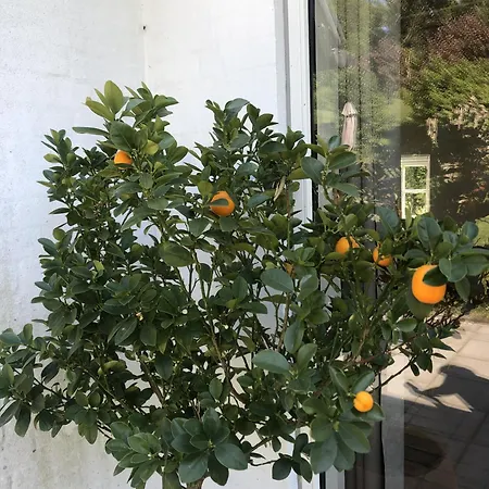 Heltoften Nykobing Mors